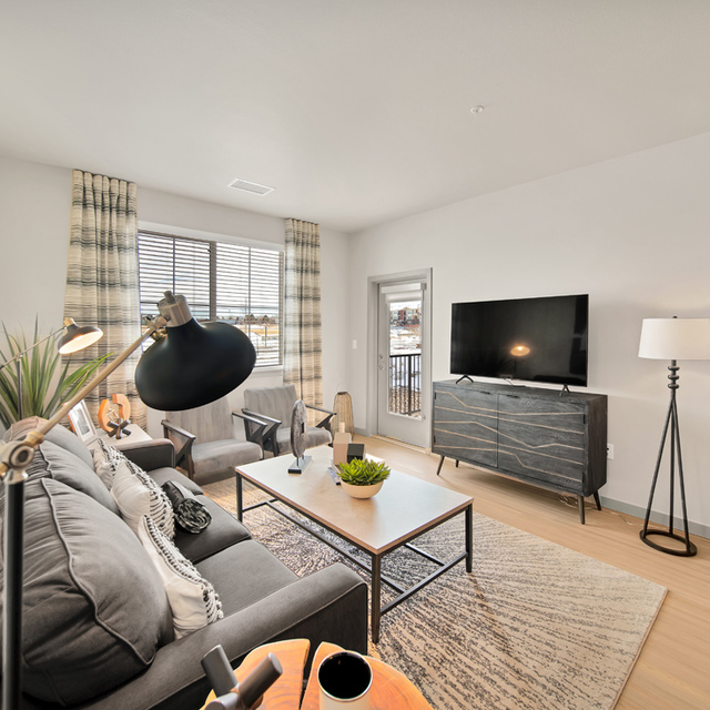 Camber Apartments - Cozy Living Area with Large Window and Television