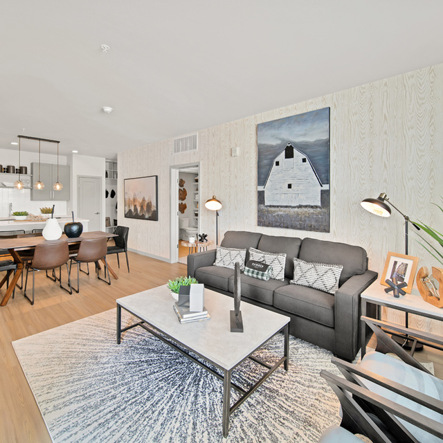 Camber Apartments - Cozy and Modern Apartment Interior