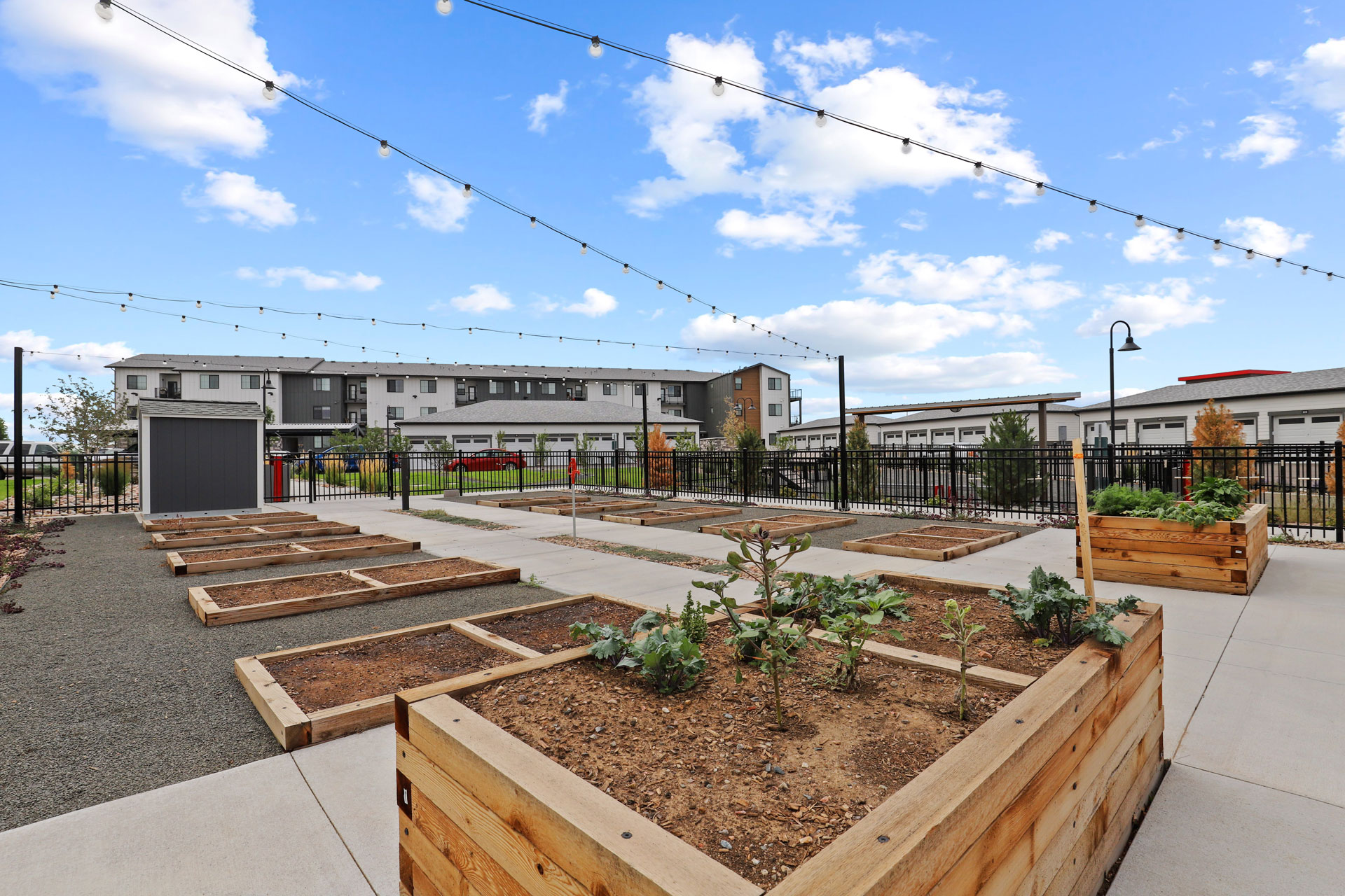 Apartments in Aurora Camber Apartments CO